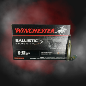 .243 WIN 55gr Ballistic Silvertip Winchester Supreme - 20 Rounds