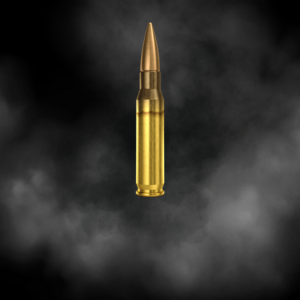 .308/7.62x51mm
