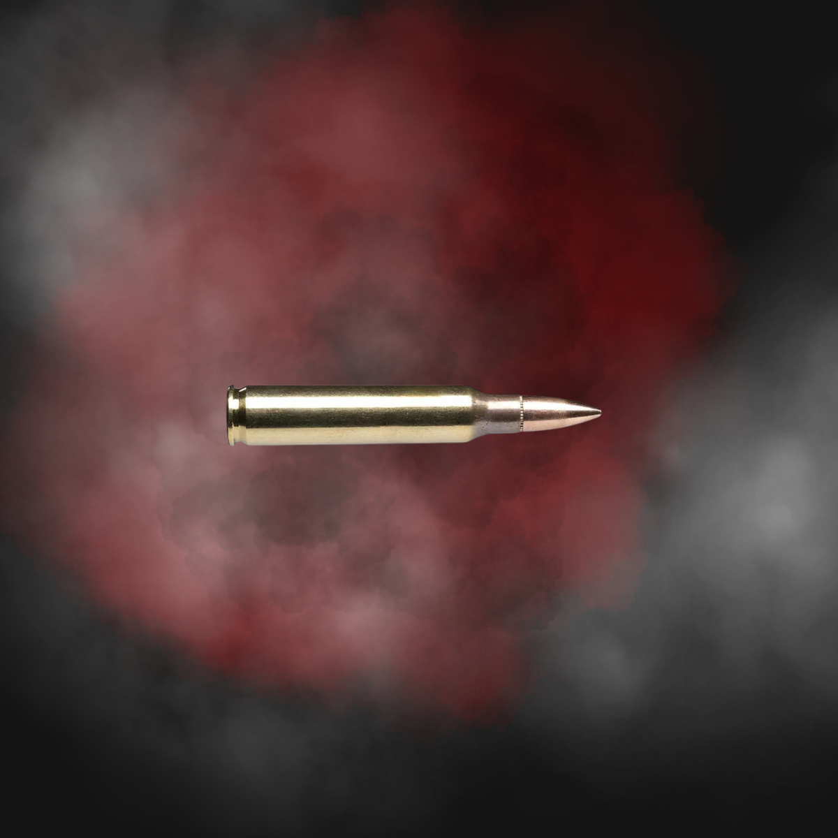 .223 55GR FMJ-BT PMC Bronze 223A (1000 rounds) - Image 4